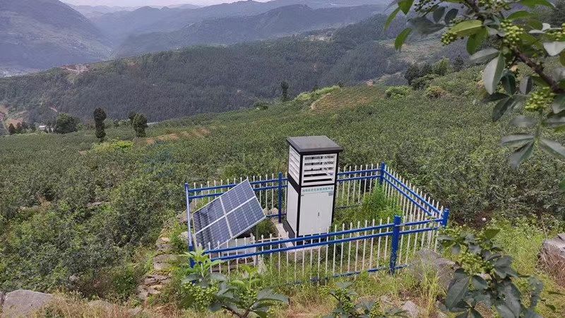 虫情测报灯